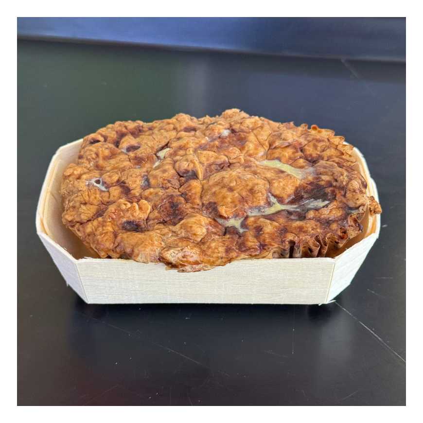 Terrine au foie de canard et aux girolles 1 pièce