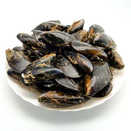 Moules d'Espagne très grosses vivantes - 500 g
