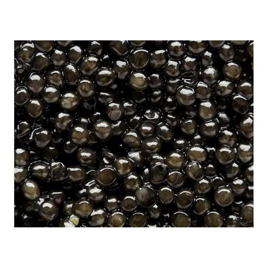Caviar Perle Noire - Impertinent (Périgord Noir) - 20 g