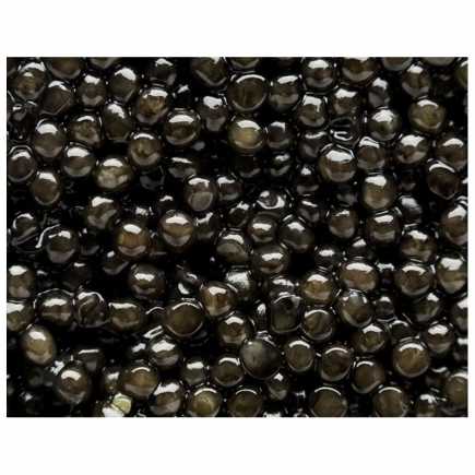 Caviar Perle Noire - Impertinent (Périgord Noir) - 20 g