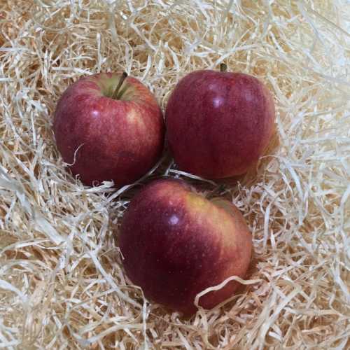 Coings - 500 g