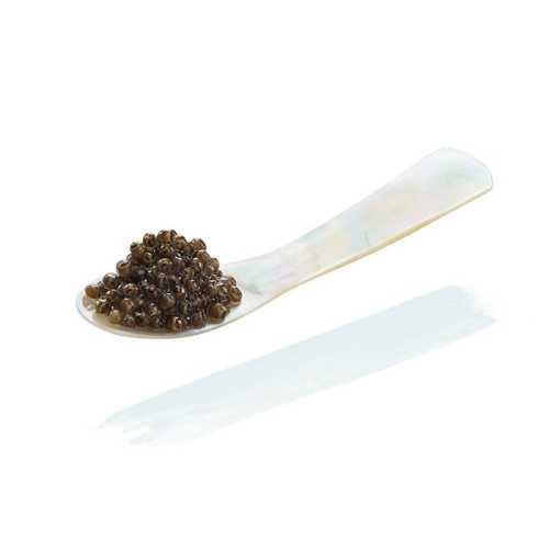 Caviar STURIA Oscietra - 15 g