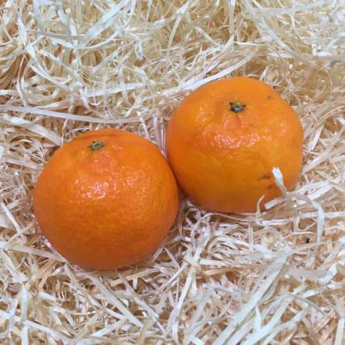 Clémentine Corse - 500 g