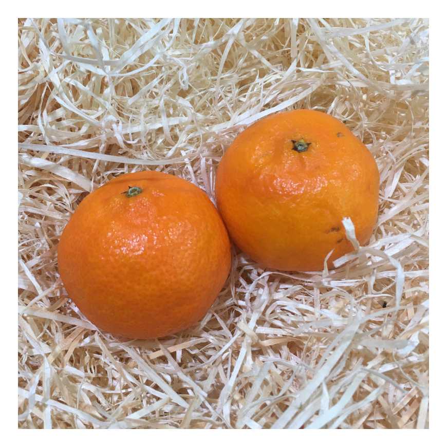 Clémentine Berkane IGP Maroc - 500 g