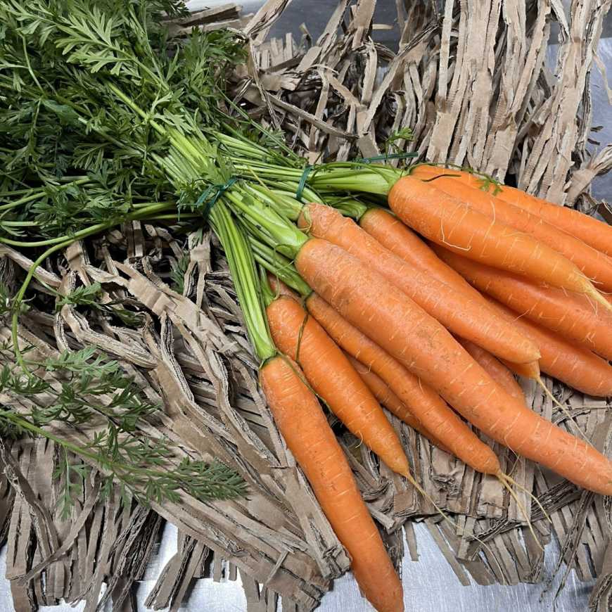 Carotte Fane - La botte