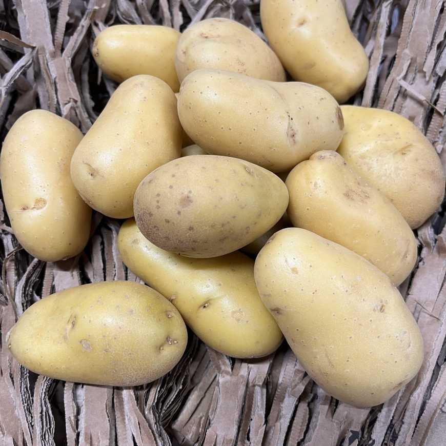 Pomme de terre Vapeur/Raclette - 1kg