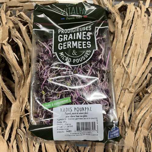 Germe Radis Pourpre France Brqt 60gr -Germline-