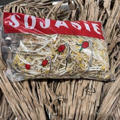 Germe Haricot Mungo/Soja France Sachet 1kg -Germline-