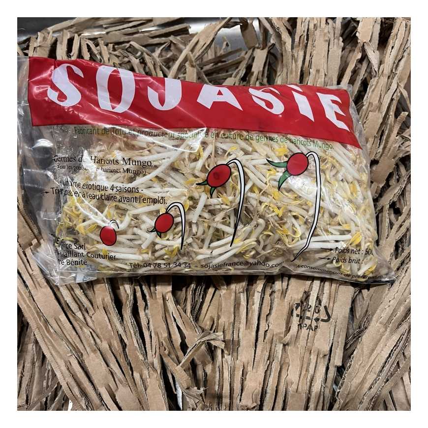 Germe de Soja/Haricot Mungo - 500 gr