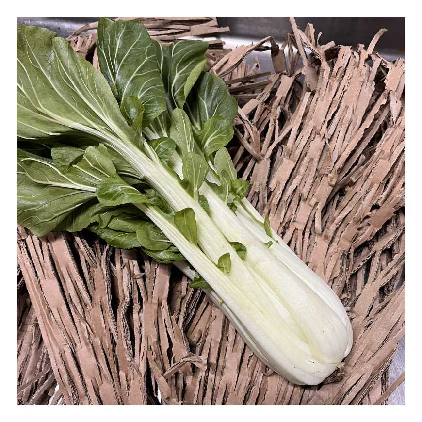 Chou Pak Shoi - 1 pièce