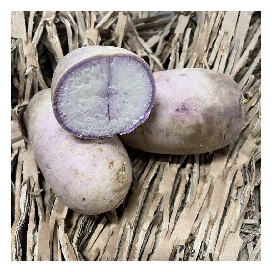 Radis Blue Meat - 500 g