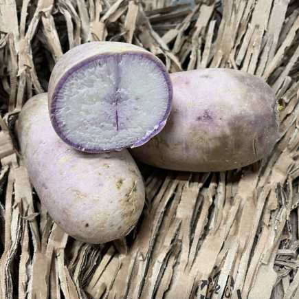 Radis Blue Meat - 500 g