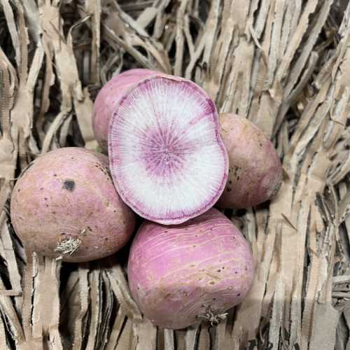 Radis Pink Meat - 500 g