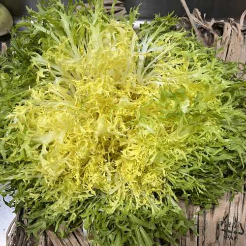 Salade Frisée fine - 1 pièce