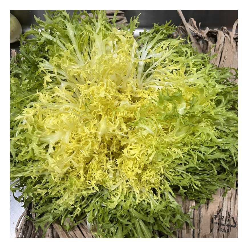 Salade Frisée fine - 1 pièce