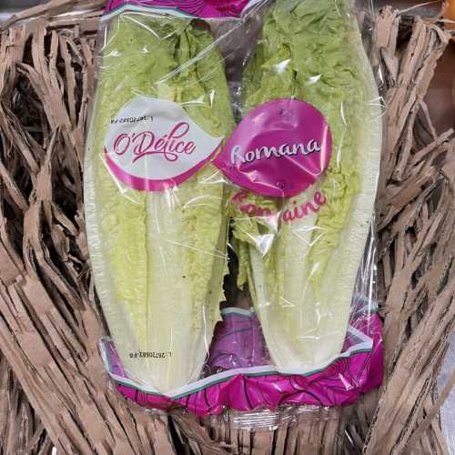 Salade Coeur de Romaine - sachet 2 pièces