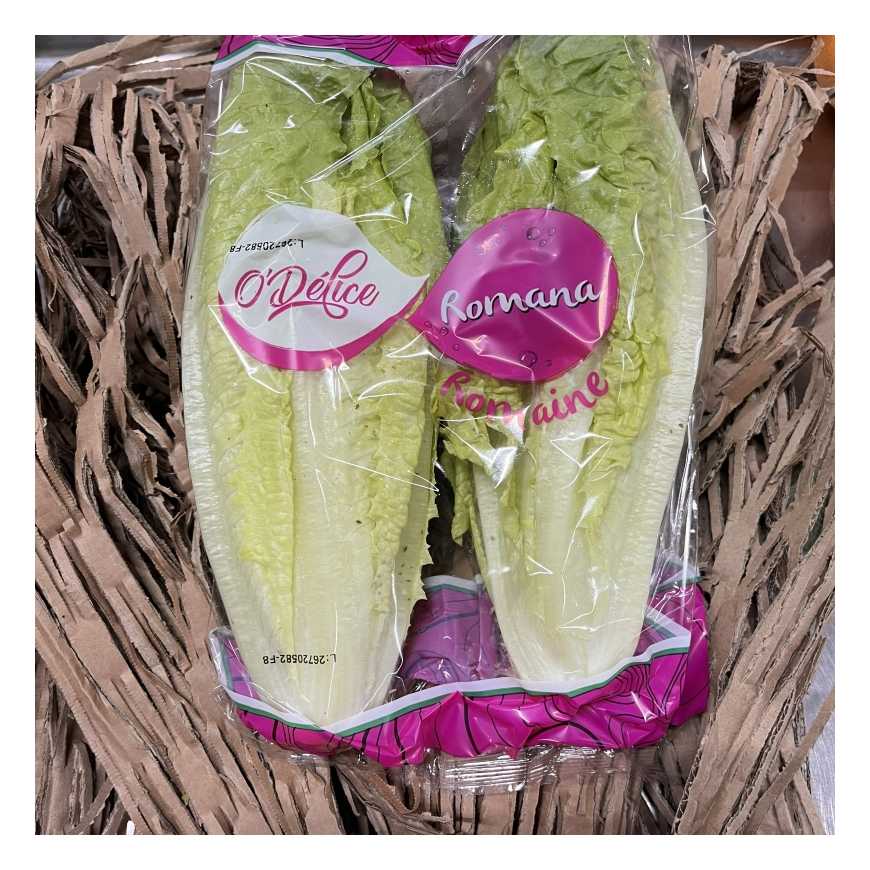 Salade Coeur de Romaine - sachet 2 pièces