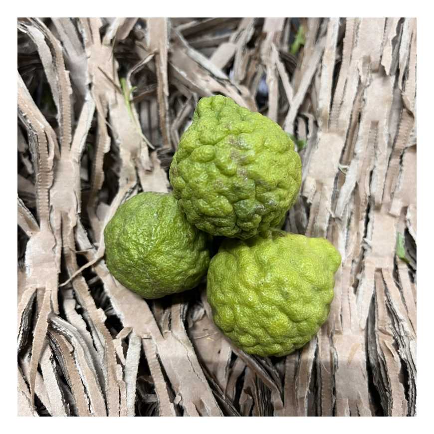 Citron combava- 100gr