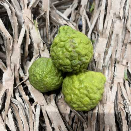 Citron combava- 100gr