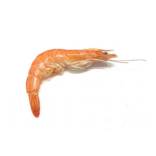 1 crevette rose 20/30