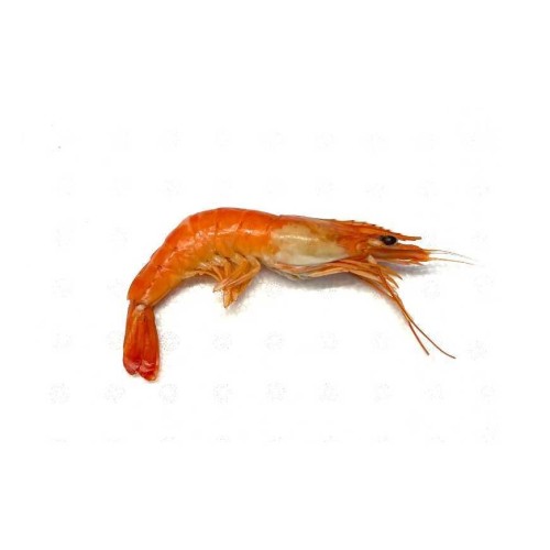 1 crevette Madagascar 40/60