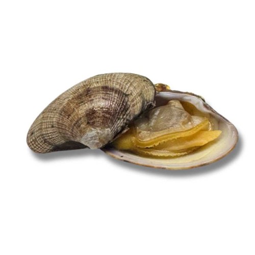 1 Palourde cuite