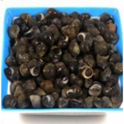 Bigorneaux cuits - 200 g