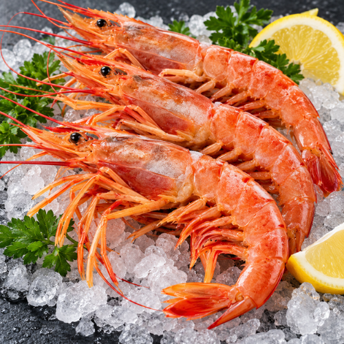 Crevettes rouges d'Argentine – Surgelé  – 2Kg