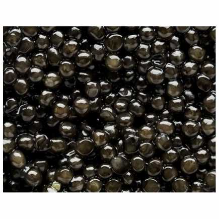 Caviar Sturia Classic Oscietra - 15 g