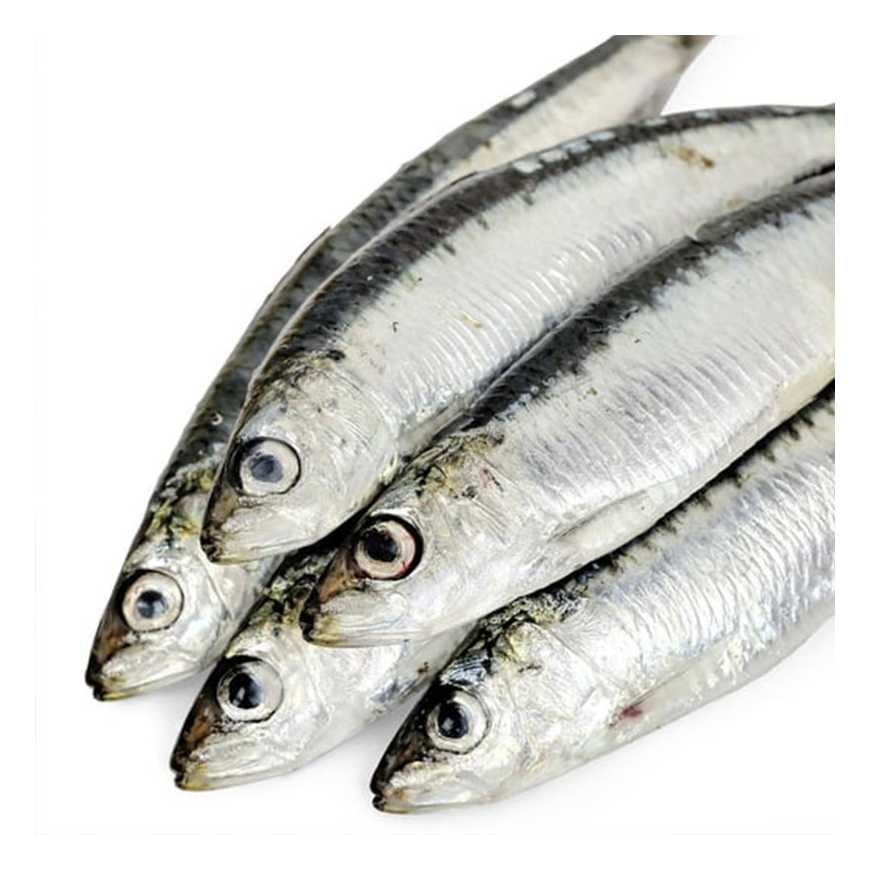 Sardine bretonne - 1 Kg