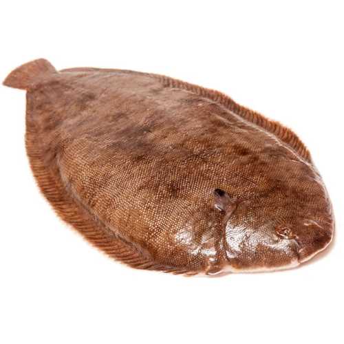 Sole 200/250  - 0.95 / 1.05 kg