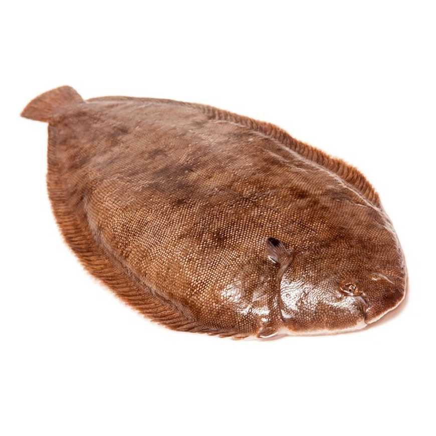 Sole 200/250  - 1 kg