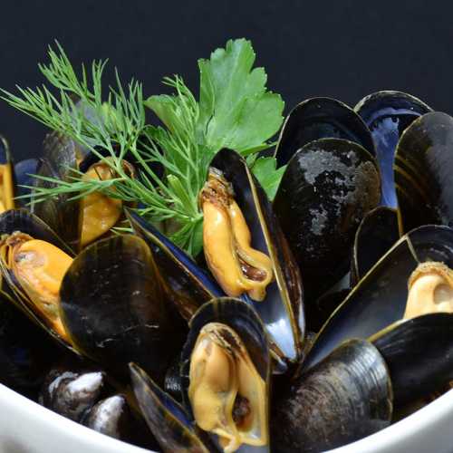 Moules de bouchot vivantes - 1 Kg