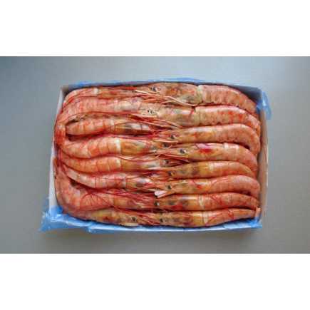 Crevette crue sauvage 10/20 - 2 Kg