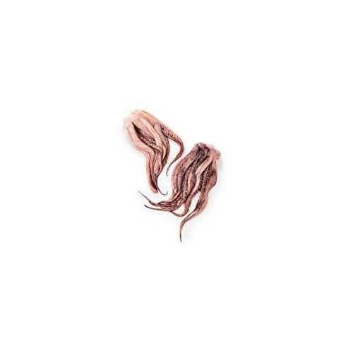 Vente tentacule d'encornet - 1 kg - Achat en ligne et livraison à domicile